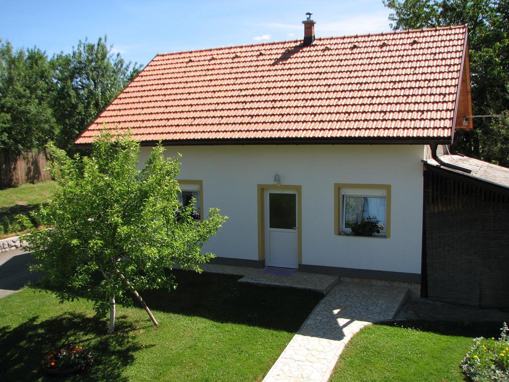 Apartment Ilija Rakovica Exterior foto